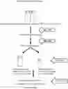 Fig. 01 - FORMULATIONS FOR ADMINISTRATION OF EFLORNITHINE