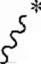 Fig. 08 - NEODEGRADER CONJUGATES