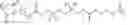 Fig. 152 - NEODEGRADER CONJUGATES