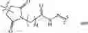 Fig. 163 - NEODEGRADER CONJUGATES