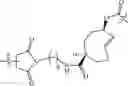 Fig. 167 - NEODEGRADER CONJUGATES