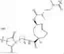 Fig. 168 - NEODEGRADER CONJUGATES