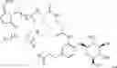 Fig. 205 - NEODEGRADER CONJUGATES