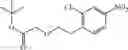 Fig. 217 - NEODEGRADER CONJUGATES