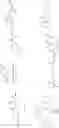 Fig. 249 - NEODEGRADER CONJUGATES