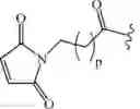 Fig. 58 - NEODEGRADER CONJUGATES