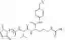 Fig. 60 - NEODEGRADER CONJUGATES