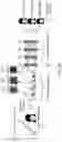 Fig. 43 - Multi-sensory, assistive wearable technology, and method of providing sensory relief using same