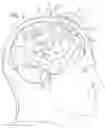 Fig. 02 - Device And Method For Blue Light Modulation Of Brain Inflammation