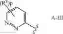 Fig. 45 - PROCESS FOR THE PREPARATION OF QUATERNIZED PYRIDAZINE DERIVATIVES