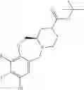 Fig. 167 - KRAS Gl2C INHIBITORS