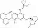 Fig. 136 - KRAS G12D INHIBITORS