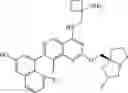 Fig. 158 - KRAS G12D INHIBITORS