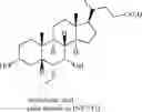 Fig. 04 - PREPARATION AND USES OF OBETICHOLIC ACID