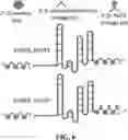 Fig. 07 - METHODS FOR USING GUIDE RNAS WITH CHEMICAL MODIFICATIONS