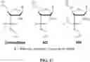 Fig. 18 - METHODS FOR USING GUIDE RNAS WITH CHEMICAL MODIFICATIONS