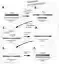 Fig. 01 - METHODS OF TRANSIENT PROTEIN AND GENE EXPRESSION IN CELLS