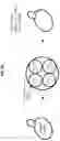 Fig. 07 - METHODS OF TRANSIENT PROTEIN AND GENE EXPRESSION IN CELLS
