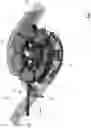 Fig. 02 - Apparatus and method for vacuumizing and sealing a package