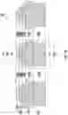 Fig. 02 - PHOTOIONIZATION DETECTOR WITH LAYERED ELECTRODES