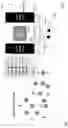 Fig. 02 - Spectrally multiplexed solid state quantum emitters and memories for quantum repeaters