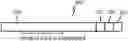 Fig. 01 - Beam adjustment by incremental feedback in 5G and 6G