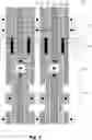 Fig. 05 - Floating gate test structure for embedded memory device