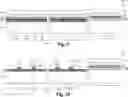 Fig. 08 - Floating gate test structure for embedded memory device