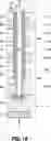 Fig. 09 - Memory Arrays Comprising Strings Of Memory Cells And Methods Used In Forming A Memory Array Comprising Strings Of Memory Cells