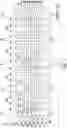 Fig. 06 - Memory device including different dielectric structures between blocks