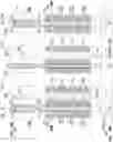 Fig. 22 - Memory device including different dielectric structures between blocks