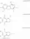 Fig. 19 - ORGANIC ELECTROLUMINESCENT DEVICE