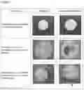 Fig. 02 - EMULSION COMPOSITION