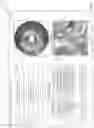 Fig. 04 - VISUALLY OPTIMIZED INTRAVASCULAR IMAGING AND ASSOCIATED DEVICES, SYSTEMS, AND METHODS