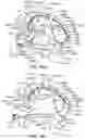 Fig. 49 - Apparatus and method for cooling and/or heating an organ