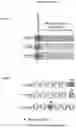 Fig. 294 - Peptides
