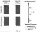 Fig. 04 - Biomimetic vesicles and uses thereof