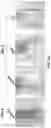 Fig. 06 - Biomimetic vesicles and uses thereof