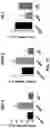 Fig. 08 - Biomimetic vesicles and uses thereof