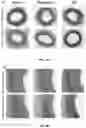 Fig. 09 - Biomimetic vesicles and uses thereof