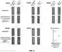 Fig. 11 - Biomimetic vesicles and uses thereof