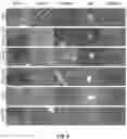 Fig. 13 - Biomimetic vesicles and uses thereof