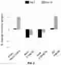 Fig. 14 - Biomimetic vesicles and uses thereof