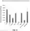 Fig. 15 - Biomimetic vesicles and uses thereof