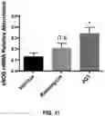 Fig. 16 - Biomimetic vesicles and uses thereof