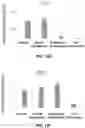 Fig. 19 - Biomimetic vesicles and uses thereof