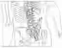 Fig. 01 - SYSTEMS AND METHODS FOR CHRONIC LOWER BACK PAIN TREATMENT