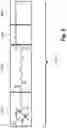 Fig. 06 - Method and compositions for creating magnetically aligned, bioactive scaffolds for tissue regeneration