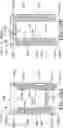 Fig. 16 - Insert for palm stapler, a palm stapler and a method of use thereof
