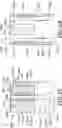 Fig. 20 - Insert for palm stapler, a palm stapler and a method of use thereof